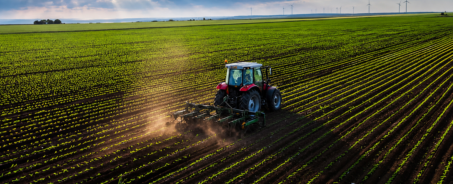 Tarım ve Gıda Etiği Derneği (TARGET)