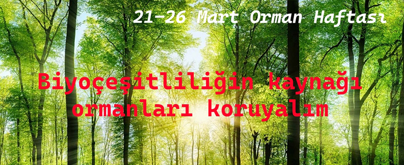 <h1>21-26 Mart Orman Haftası</h1>