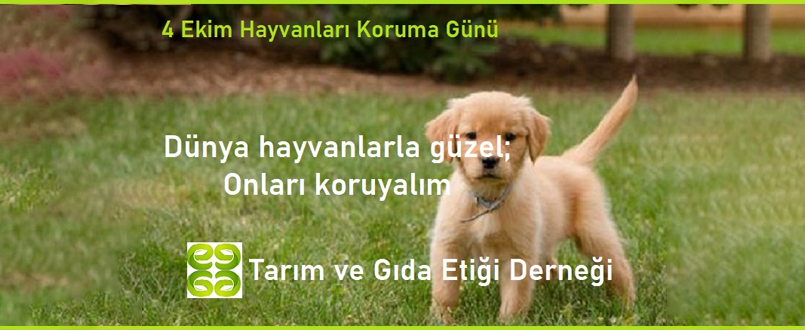 <h1>4 Ekim Hayvanları Koruma Günü</h1>