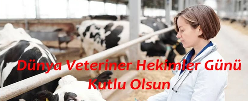 <h1>Dünya Veteriner Hekimler Günü Kutlu Olsun</h1>