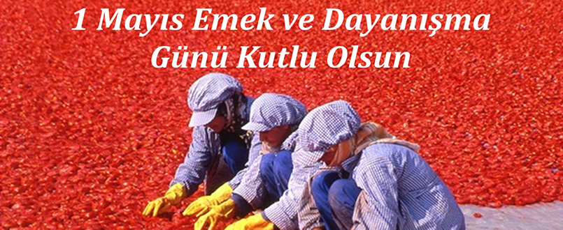 <h1>1 Mayıs Emek ve Dayanışma Günü Kutlu Olsun</h1>
