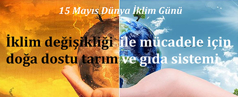 <h1>15 Mayıs Dünya İklim Günü</h1>