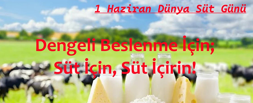 <h1>1 Haziran Dünya Süt Günü</h1>