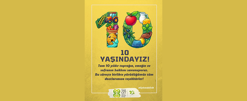<h1>10 Yaşındayız</h1>