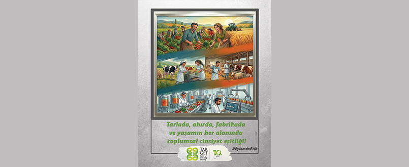 <h1>Toplumsal Cinsiyet Eşitliği</h1>