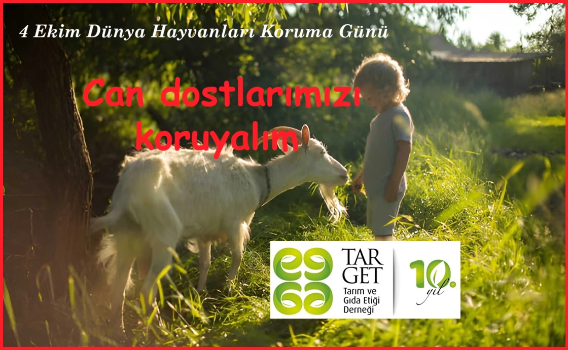 4 Ekim Dünya Hayvanları Koruma Günü
